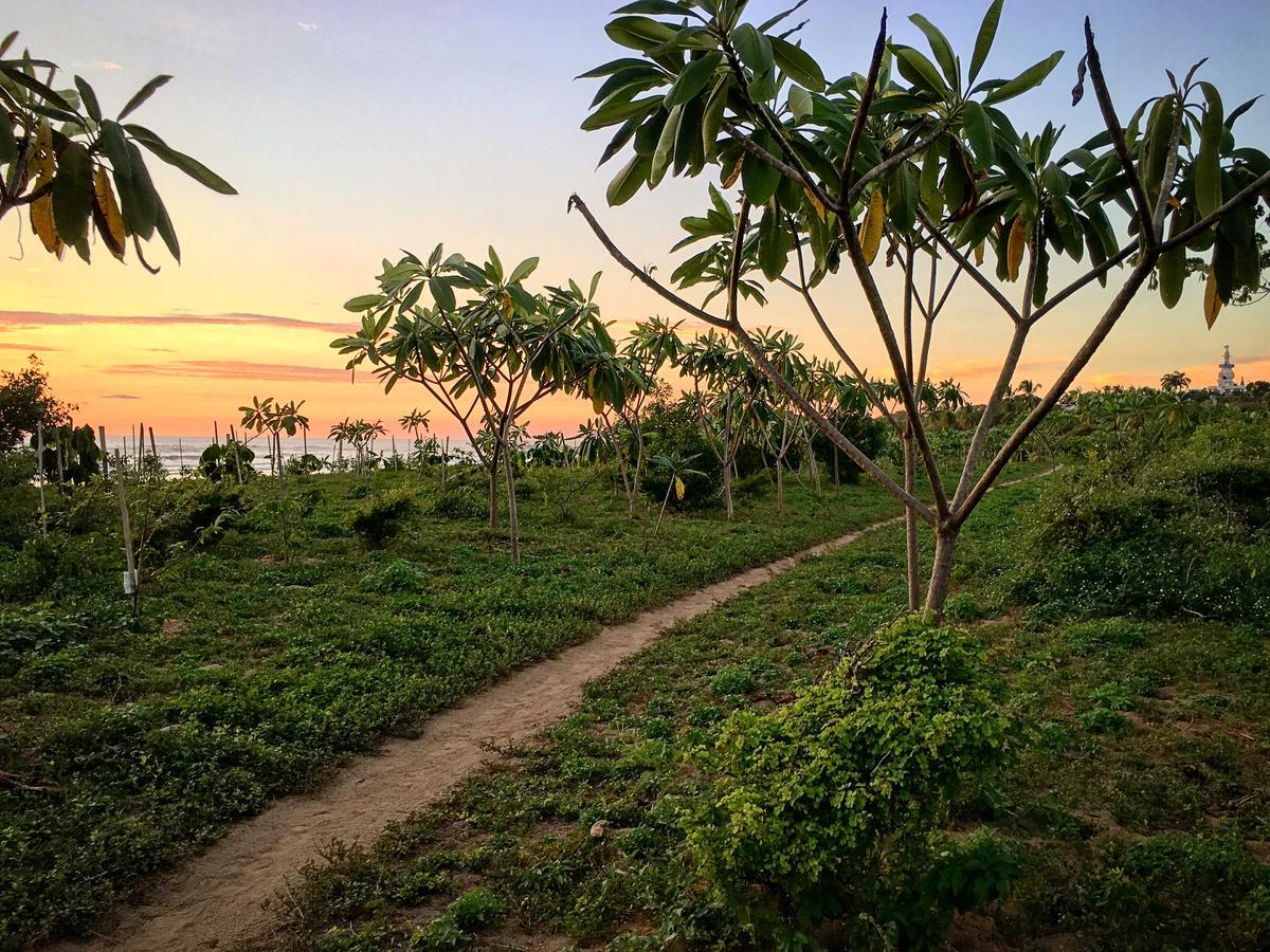 Villa Tortuga Nosara Exteriér fotografie